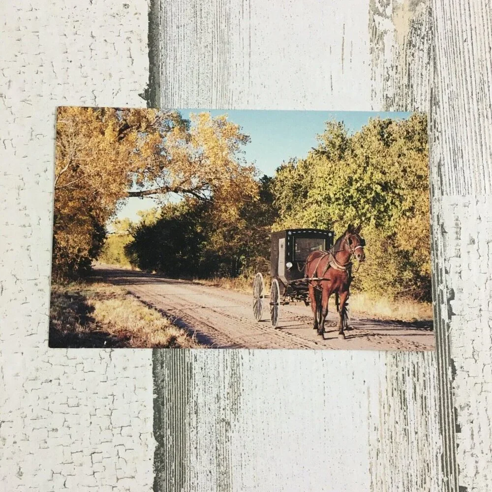 Vintage Postcard Horse & Buggy Country Road Koffahaus  MCG 131179 Crafts Kansas